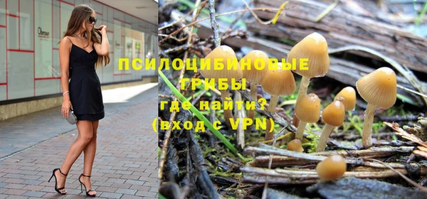 a pvp Алексин