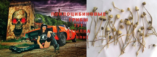 a pvp Алексин