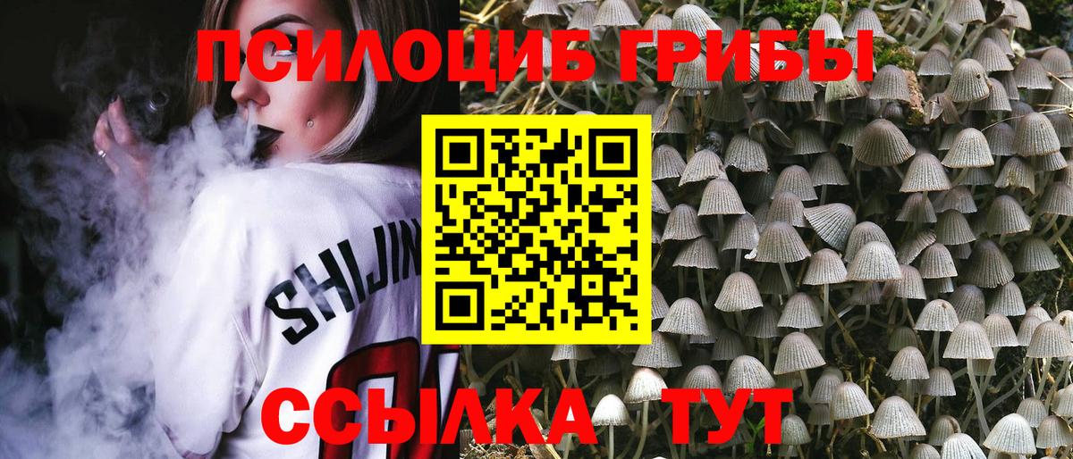 Конаково  Галлюциногенные грибы мицелий  Галлюциногенные грибы ЛСД  Вход с VPN 