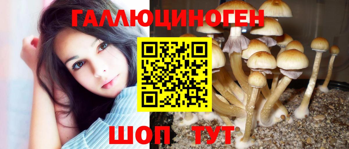 Псилоцибиновые грибы ЛСД Конаково